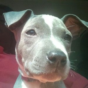 Meet your Posher, Marcus